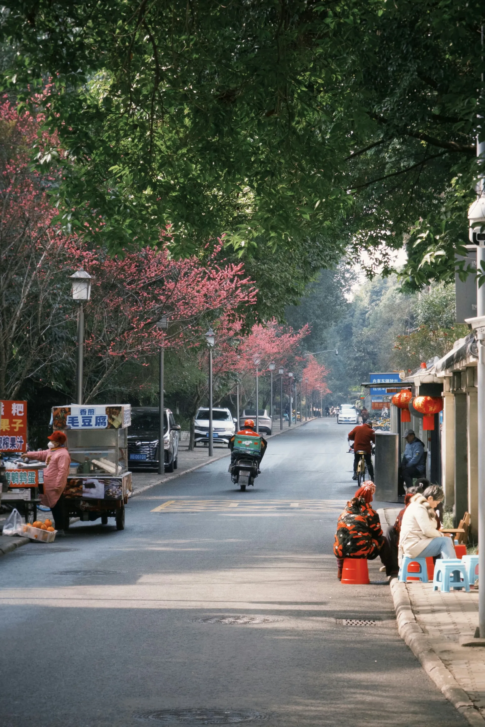 A quiet tree-lined street in Chengdu with small shops and bicycles